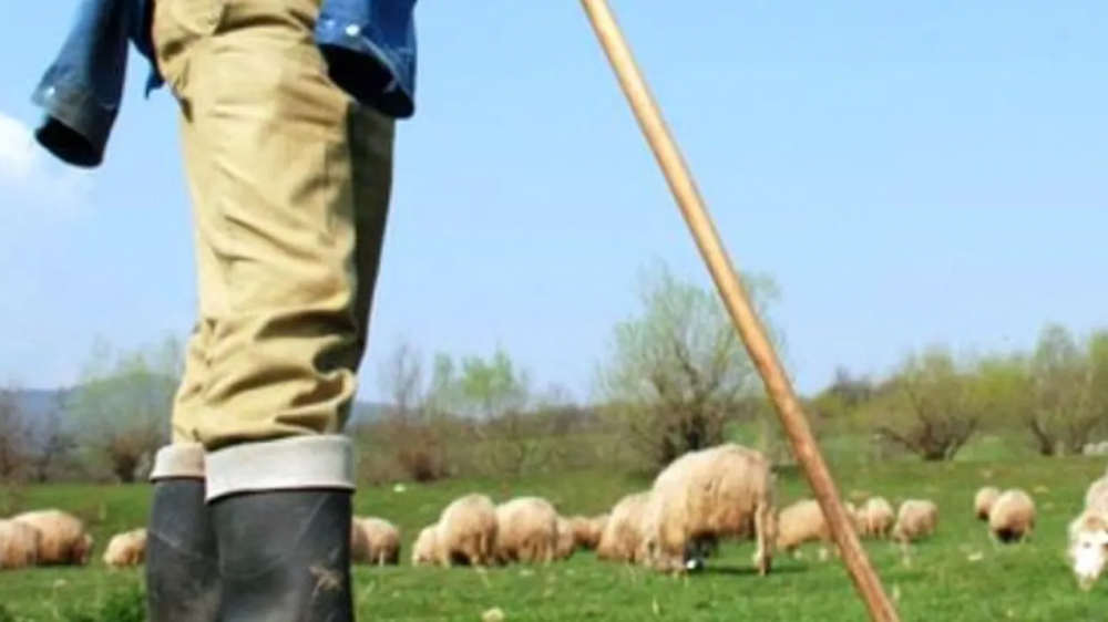 Un cioban și-a bătut concubina până la moarte. Ce pedeapsă a primit
